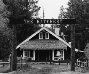 Vintage image of the Shevlin Hatchery