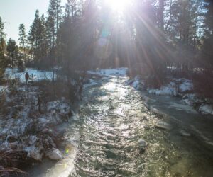 Tumalo Creek in Shevlin Park