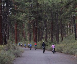 Kids riding bikes in Shevlin Park