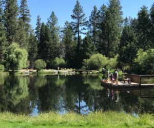 People fishing in the pond at Shevlin Park