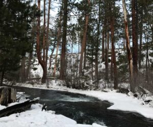 Snow and Tumalo Creek in Shevlin Park