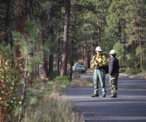 Forestry staff in Shevlin Park