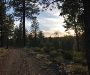 Sunset view from Shevlin Park trail