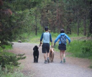 Hikers with dogs on leash in Shevlin Park