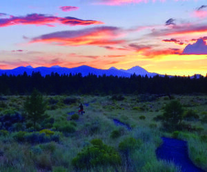 sunset at Shevlin park