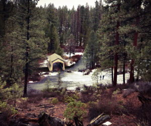 the covered bridge at Shevlin Park
