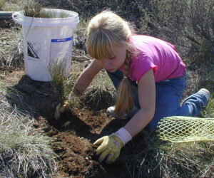 a young child planting a tree