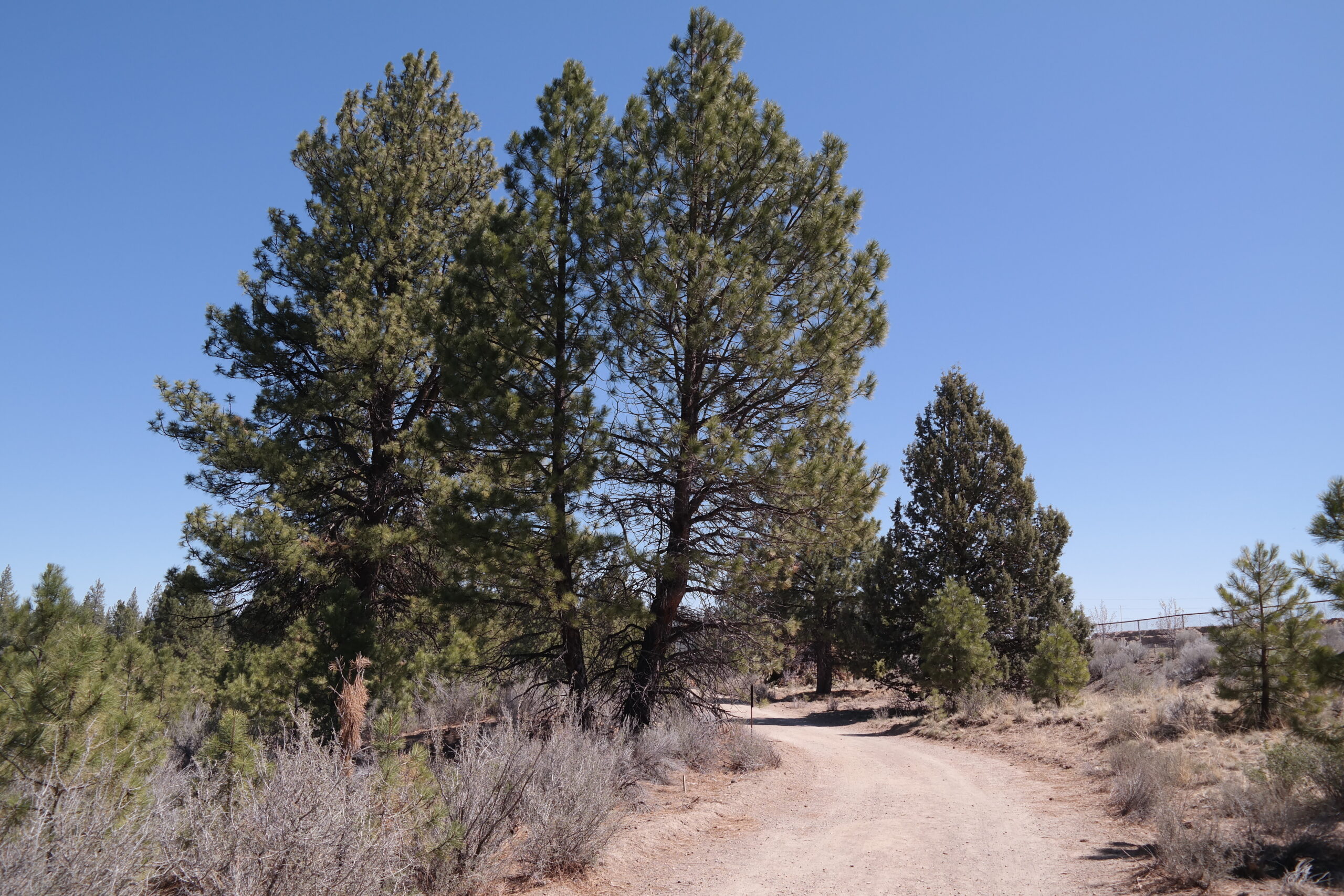 Outback Trail.