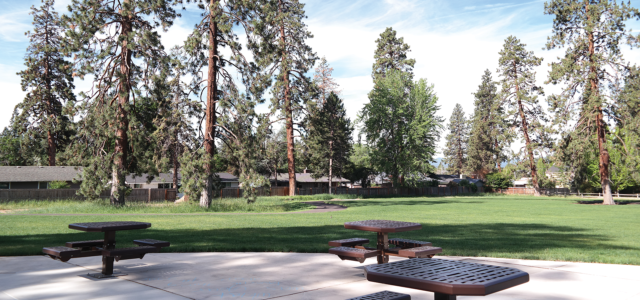 Goodrich Park Picnic Area and Lawn.