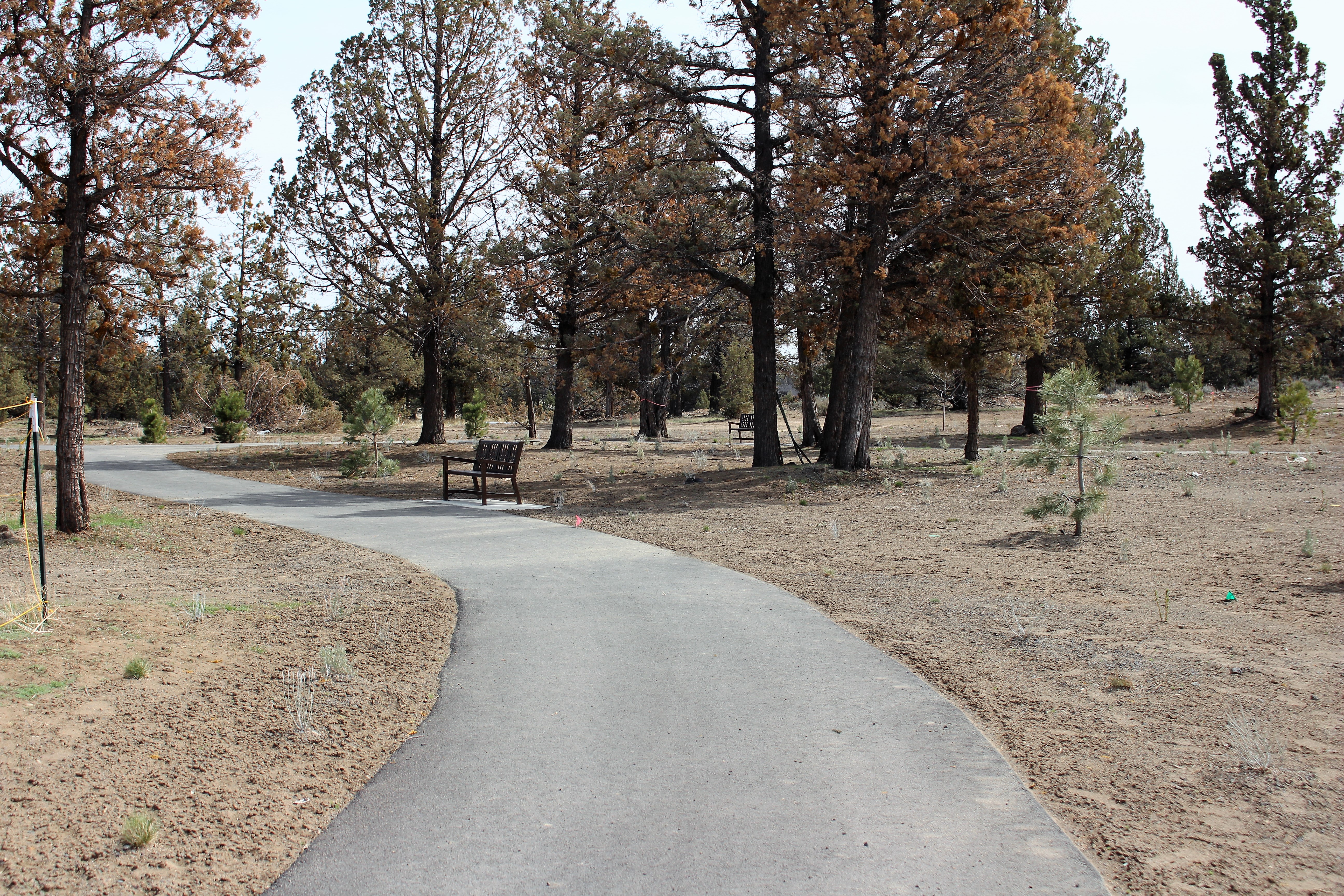 Fieldstone hard surface trails