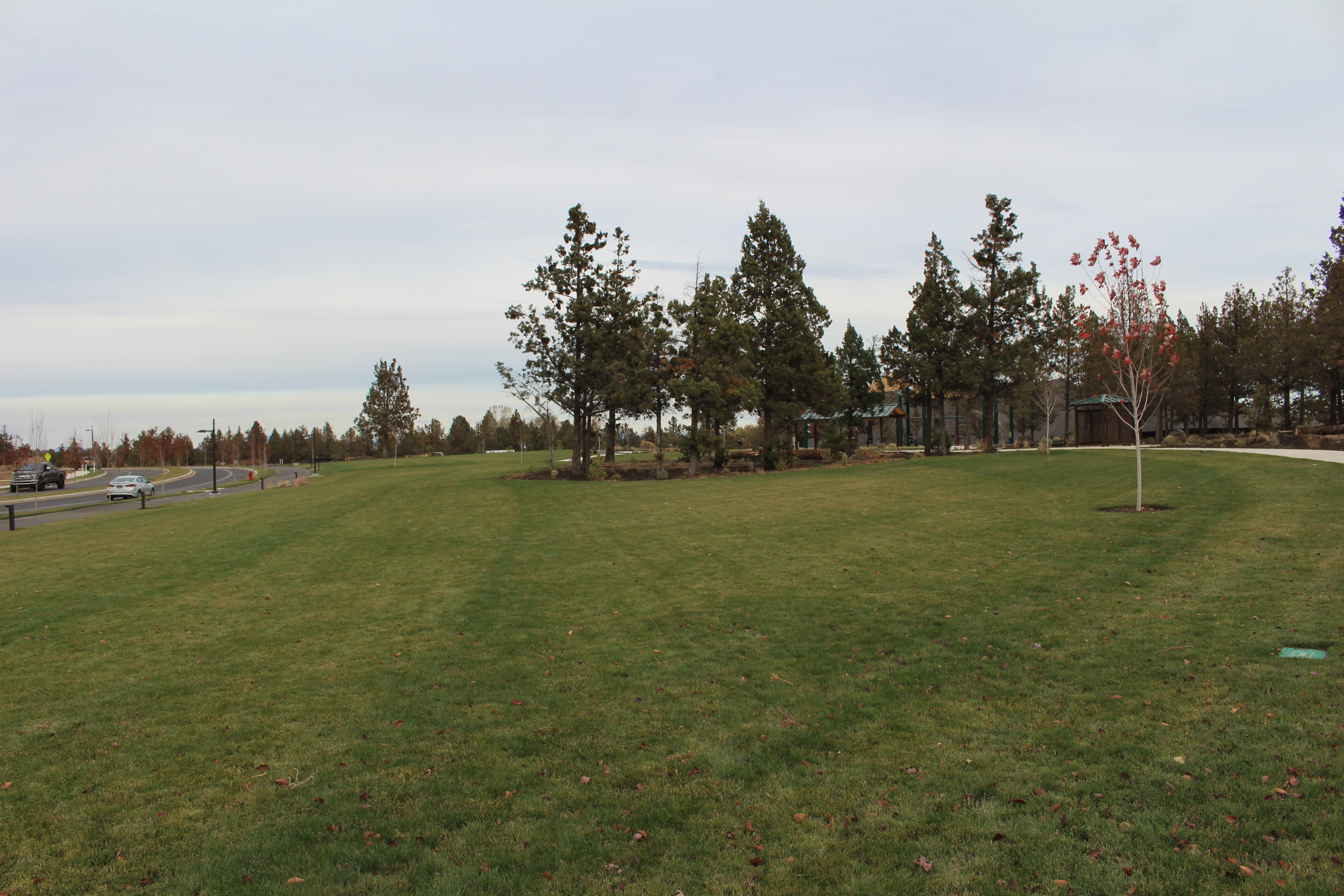 Fieldstone Park green space