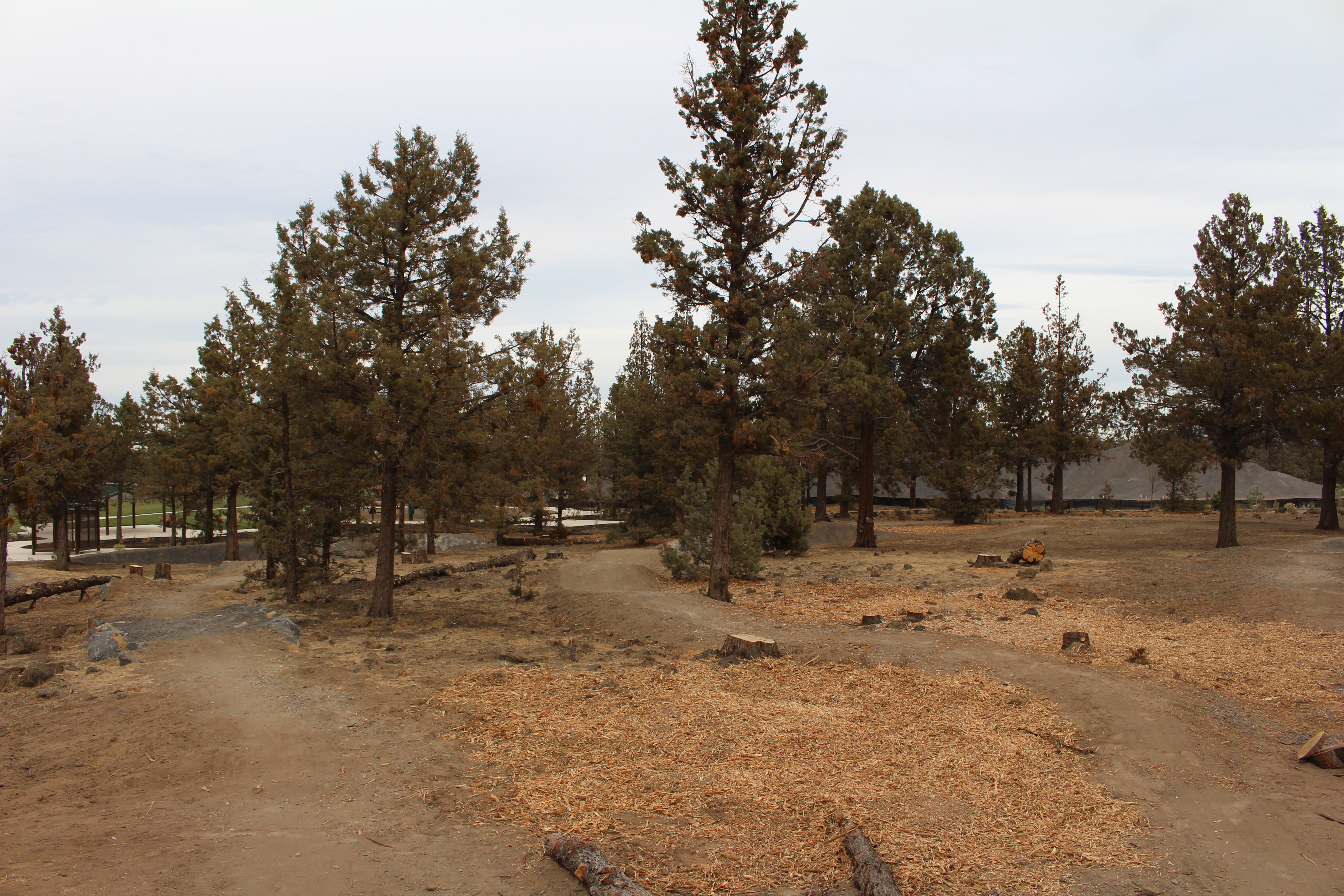 Fieldstone Park bike trails