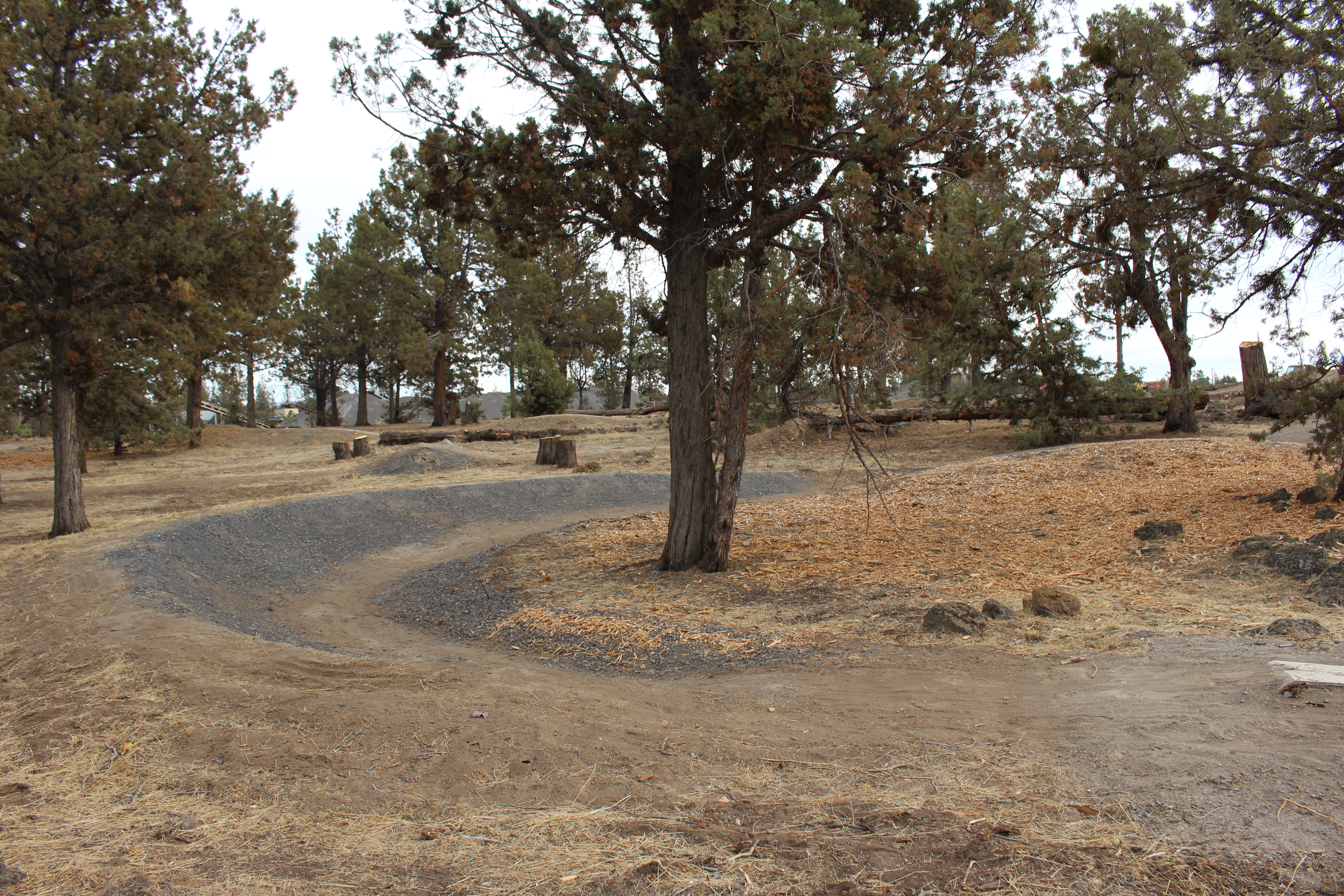 Fieldstone park bike park berm