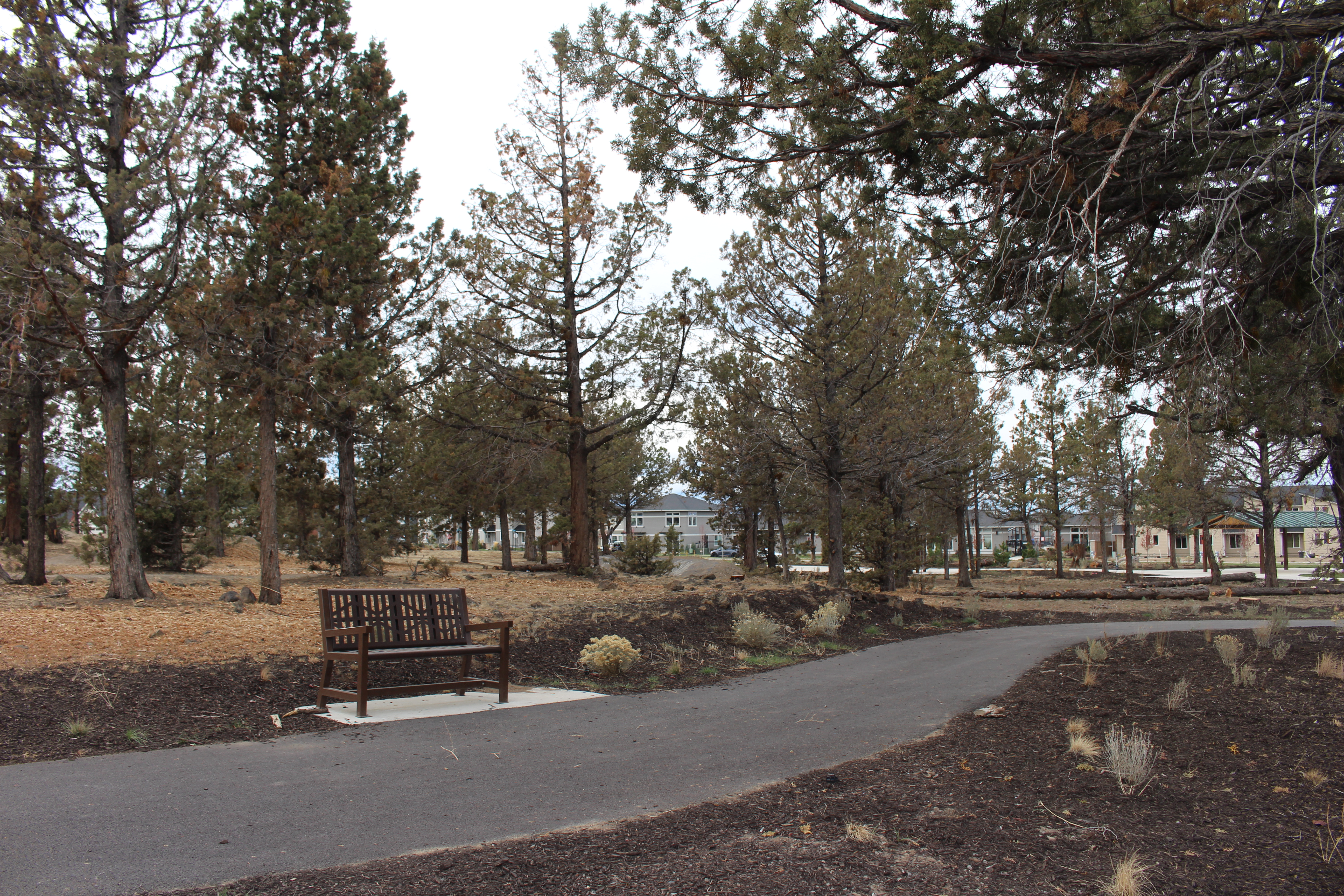 Fieldstone Park internal trail and bench