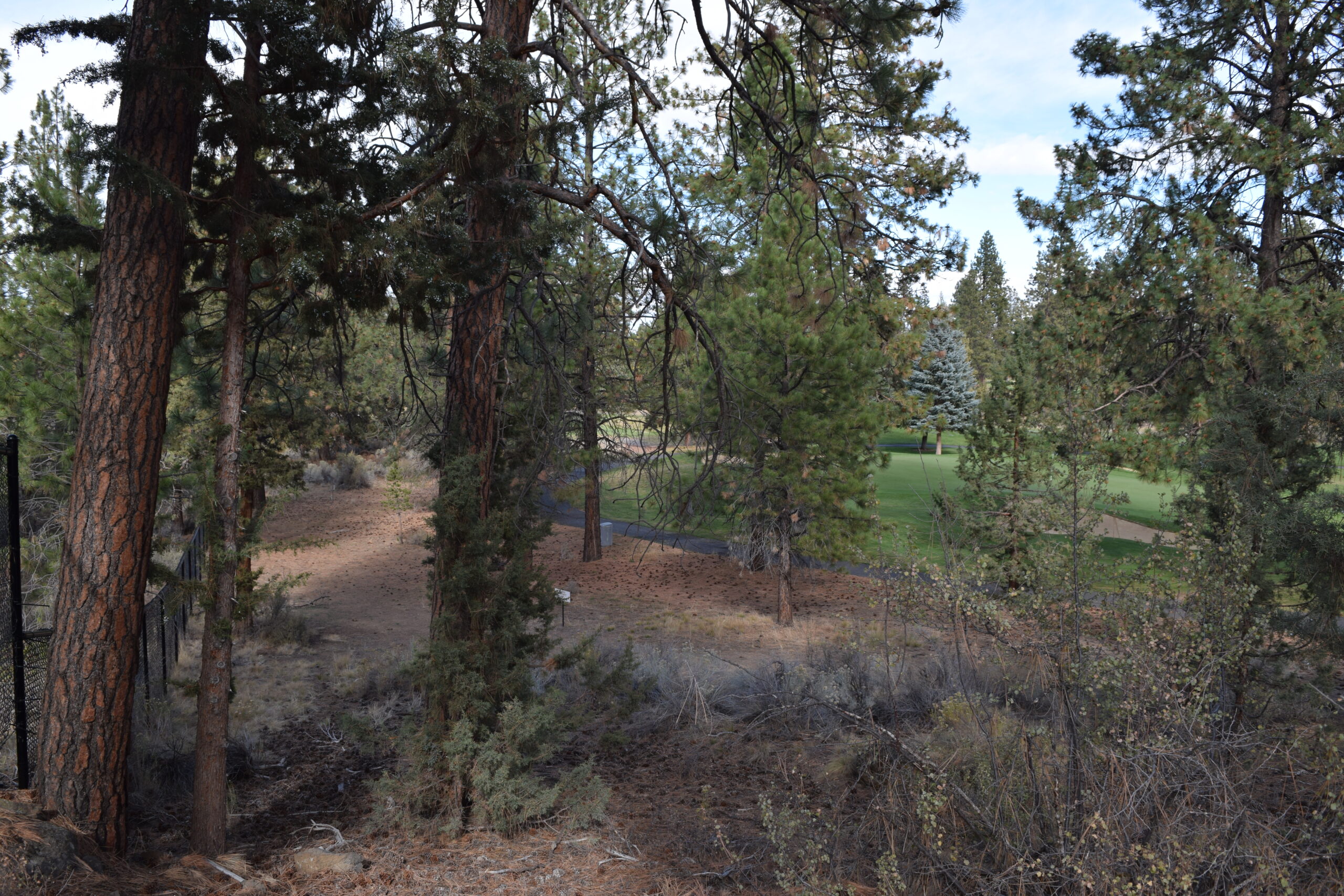 Golf Site Little Fawn Park outcrop view