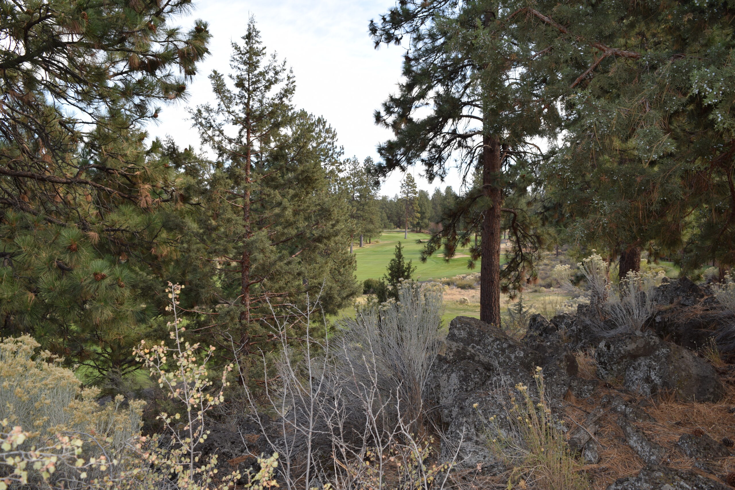Golf Site Little Fawn Park outcrop view