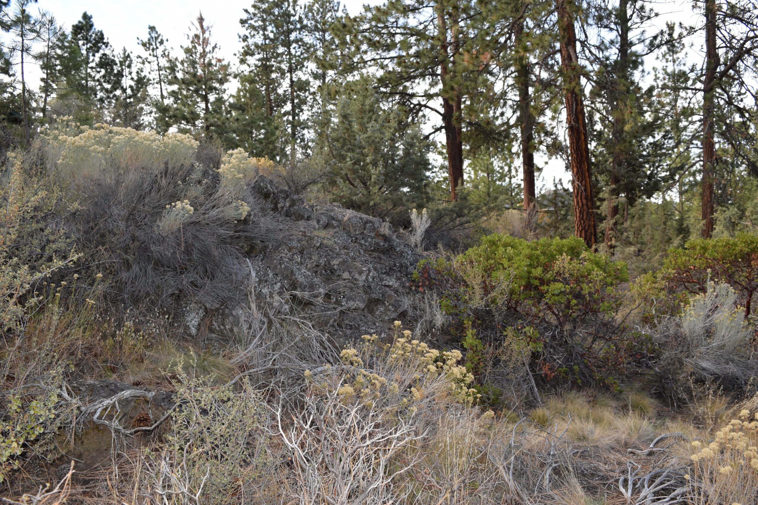 Golf Site Little Fawn Park outcrop