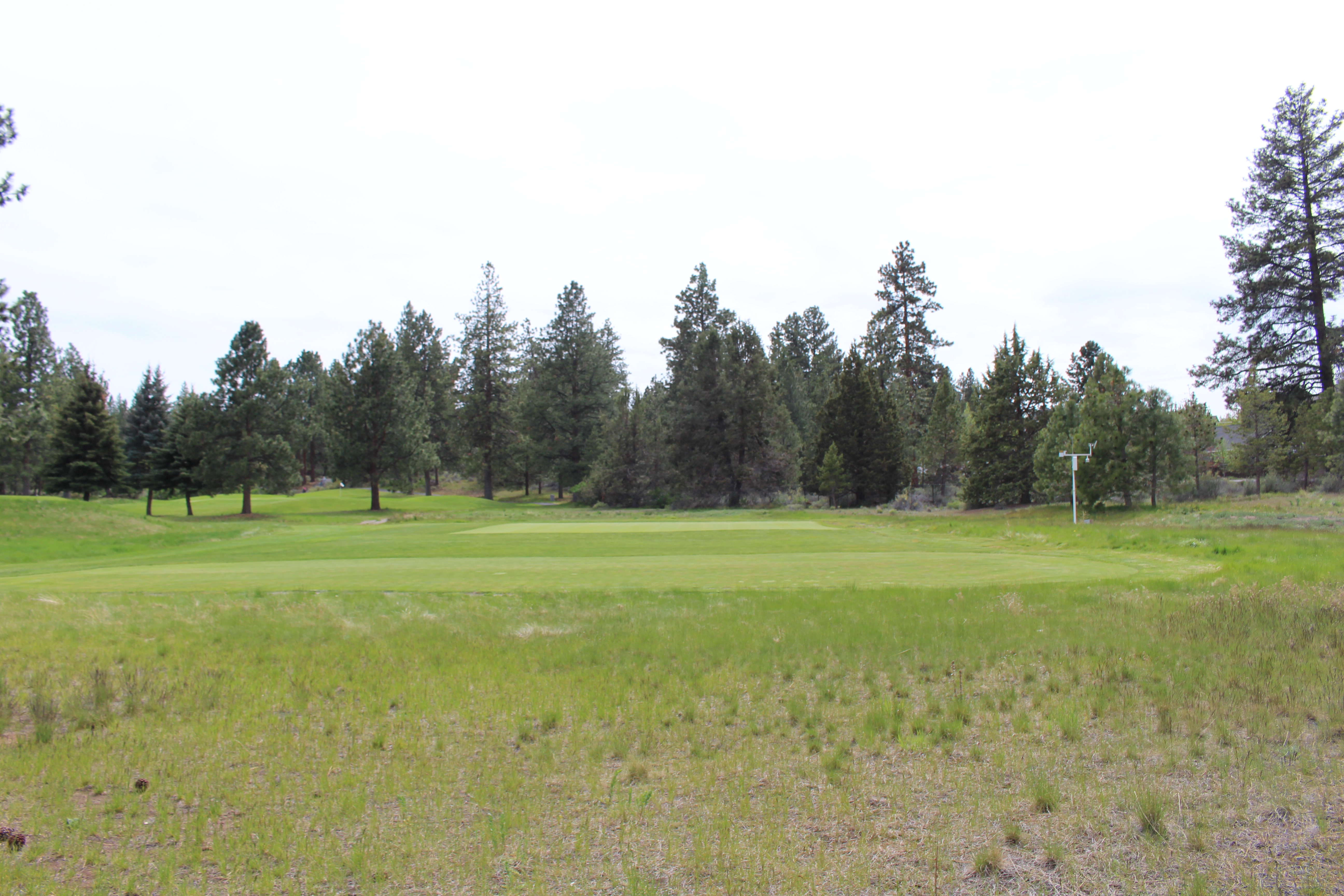 Golf Site Little Fawn Park grass view
