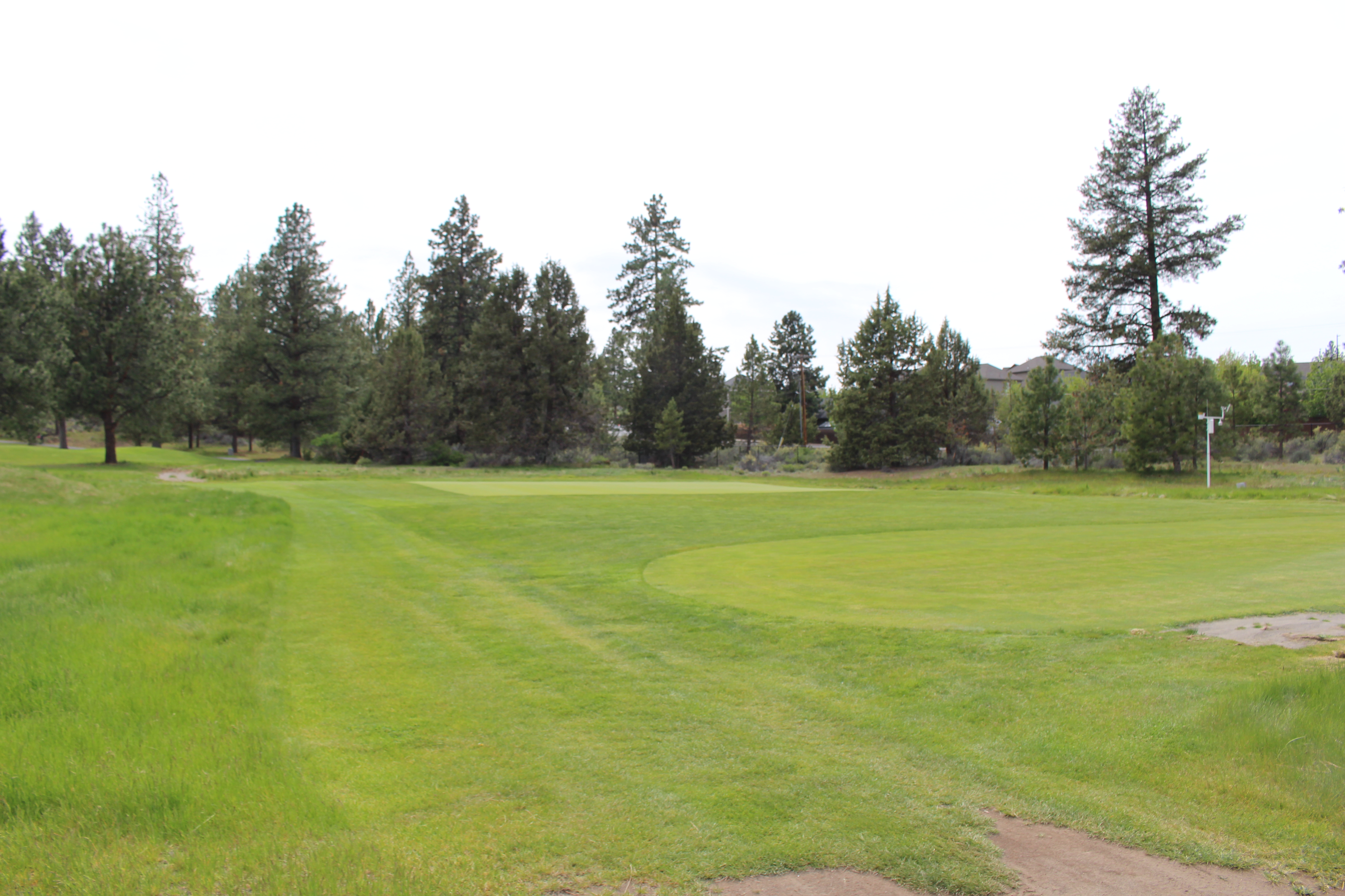 Golf Site Little Fawn Park grass view