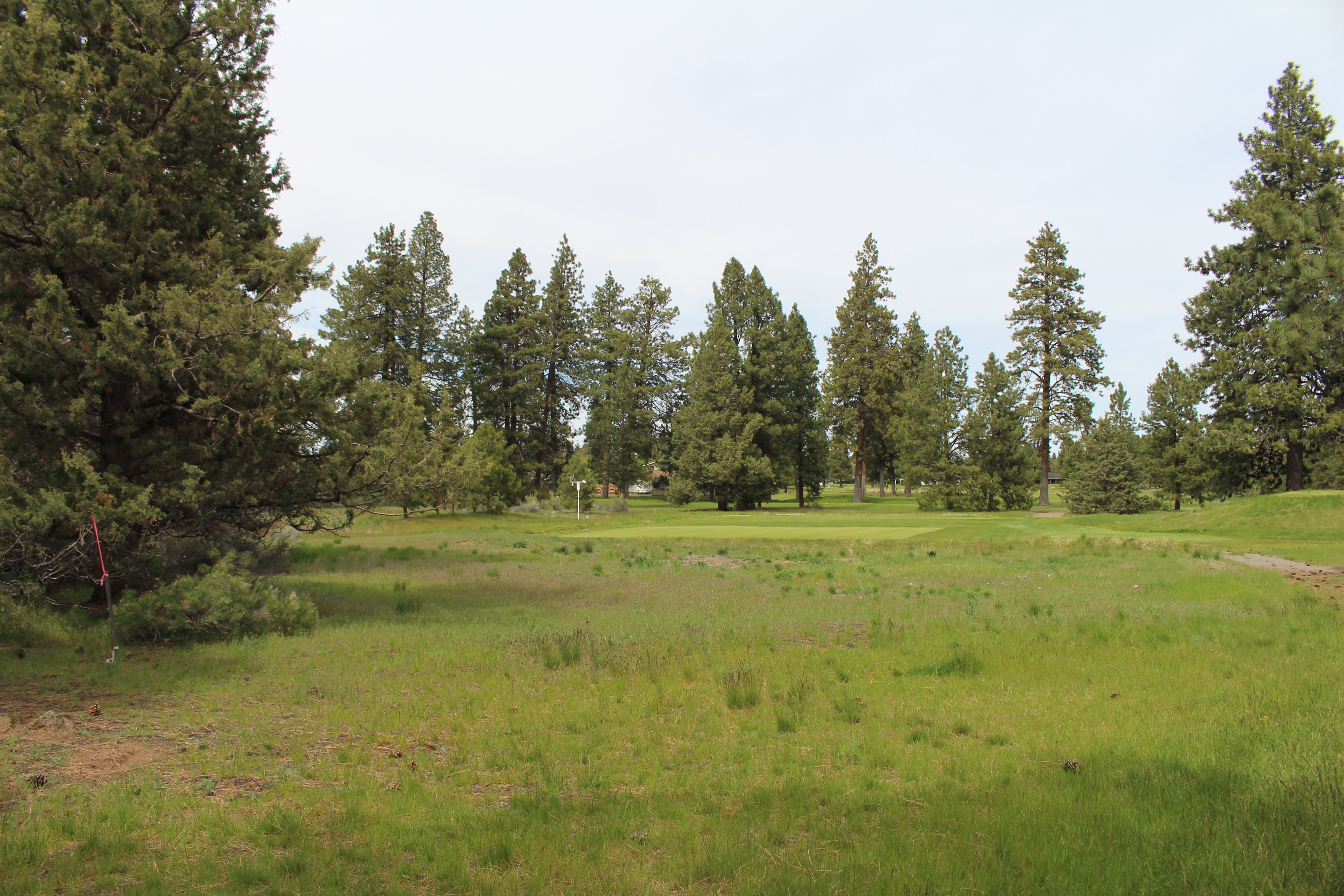 Golf Site Little Fawn Park grass view