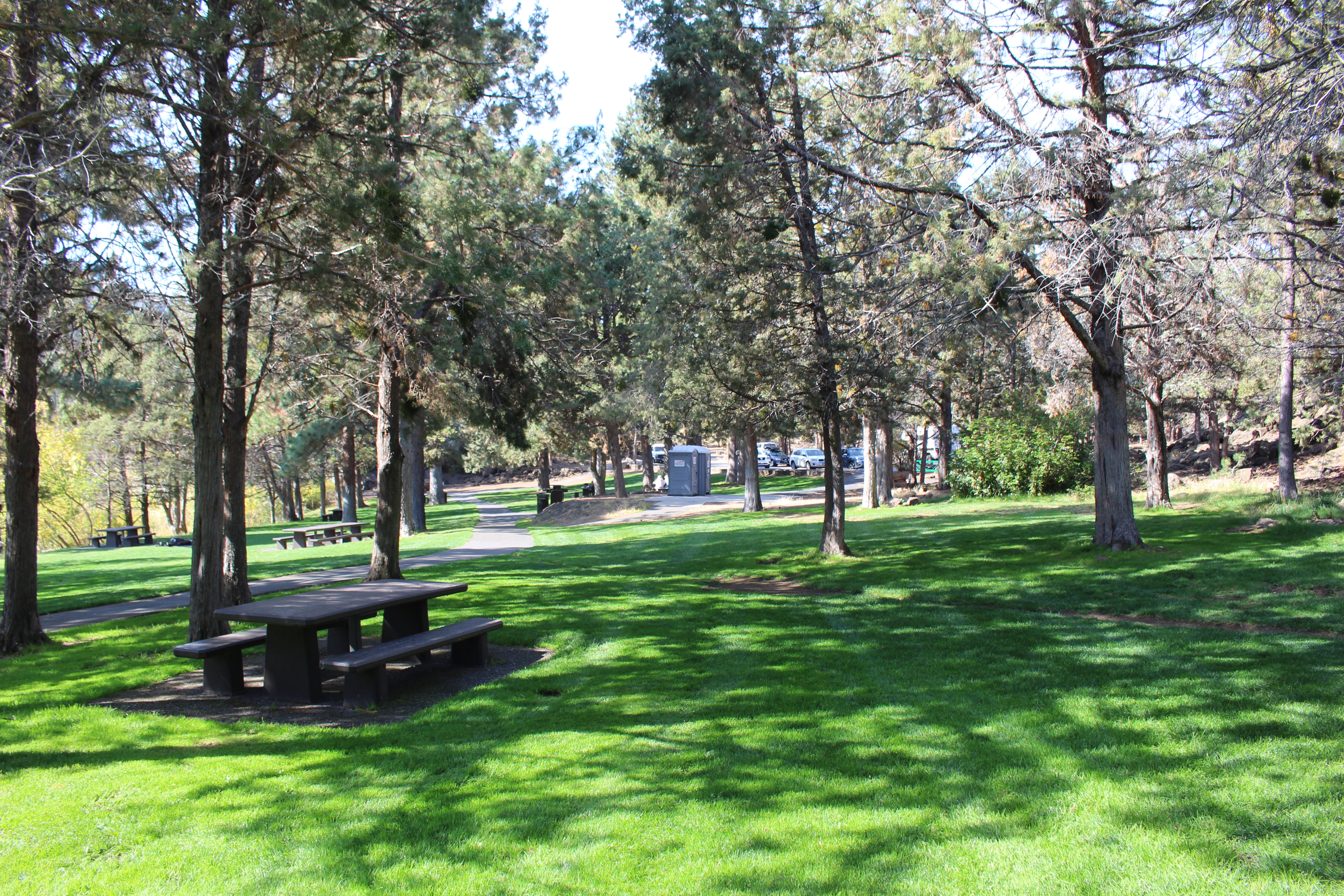 Sawyer Park Picnic Area and pathway