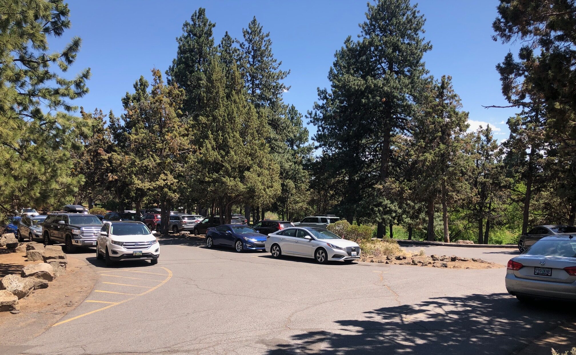 Overflowing parking lot at Sawyer Park