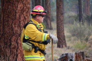 A firefighter watching a prescribed burn.