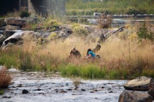 volunteers picking up trash next to the Deschutes River