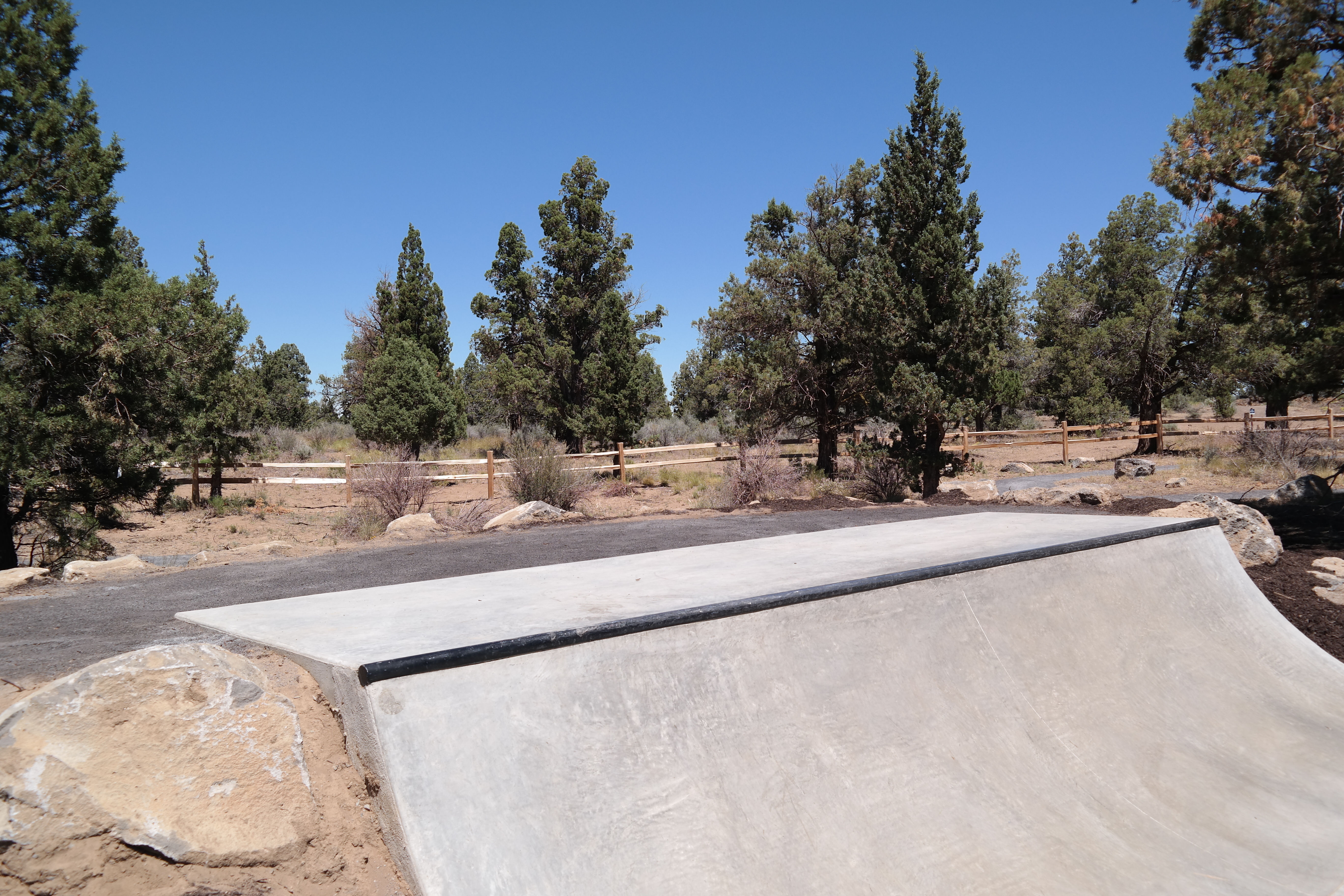 Photo of a skate feature ramp with a trail and natural area behind it.