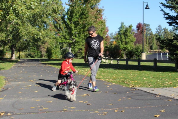 Patrons and a dog on leash use a pathway at Pine Nursery Park