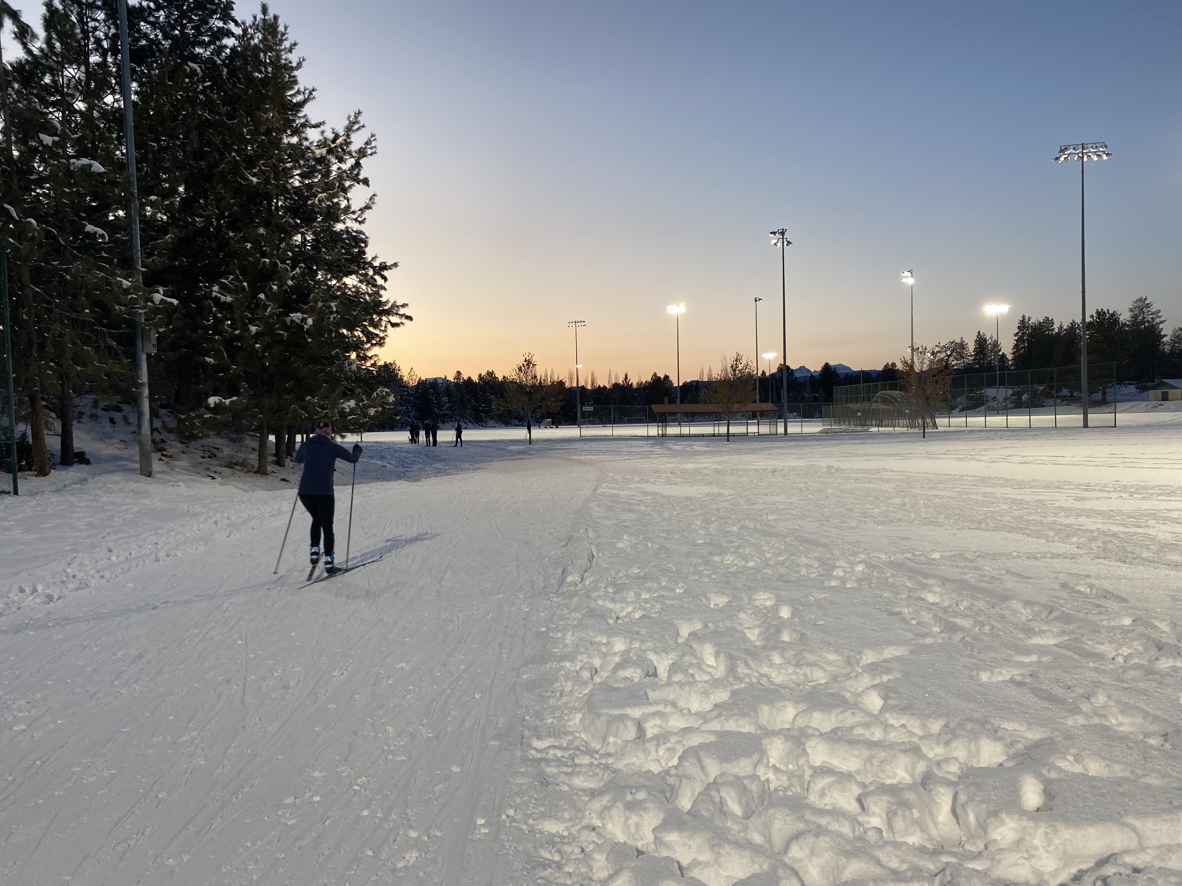 a nordic skier under the lights at Skyline Sports Complex