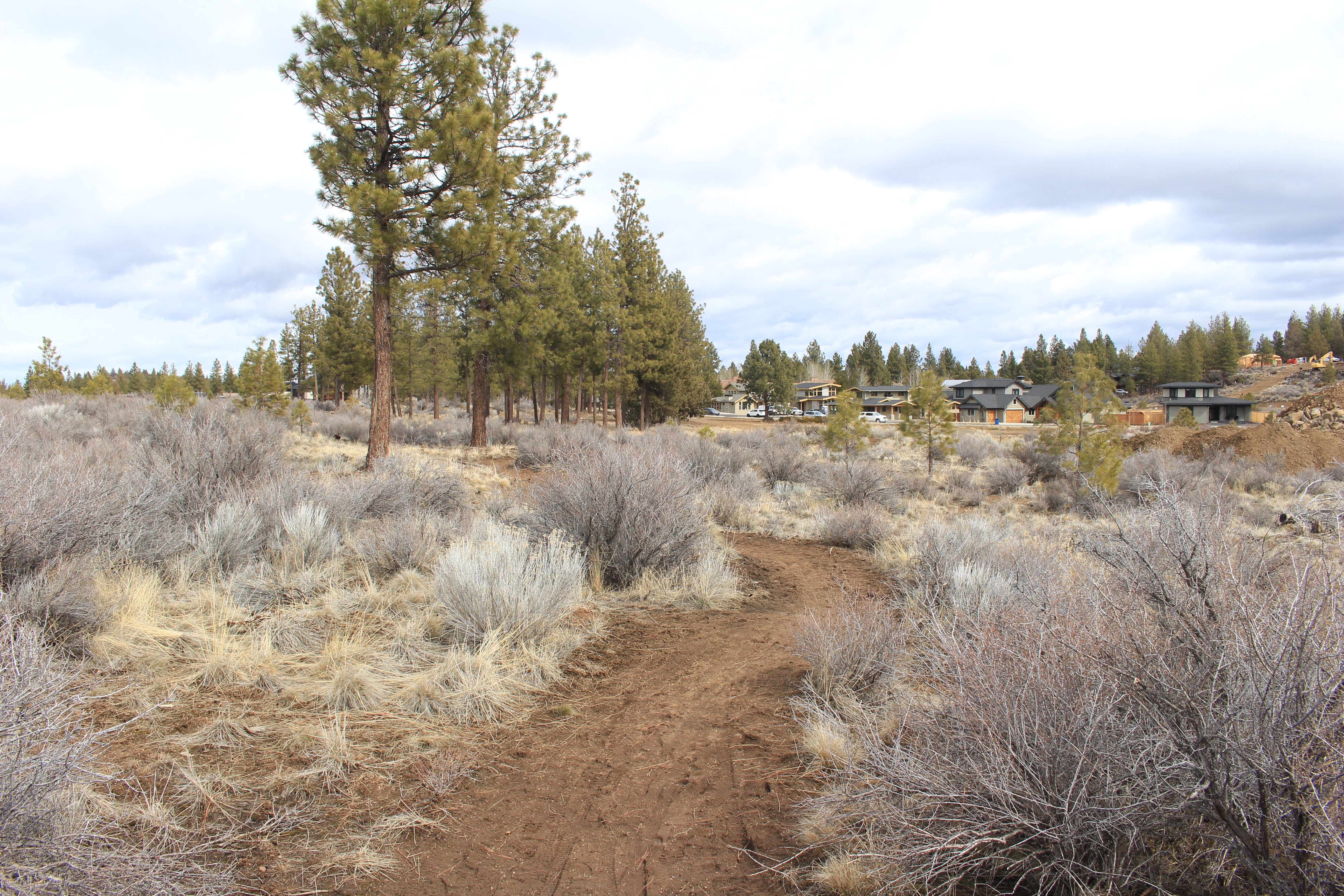 Trail leading to the new Shevlin West park site