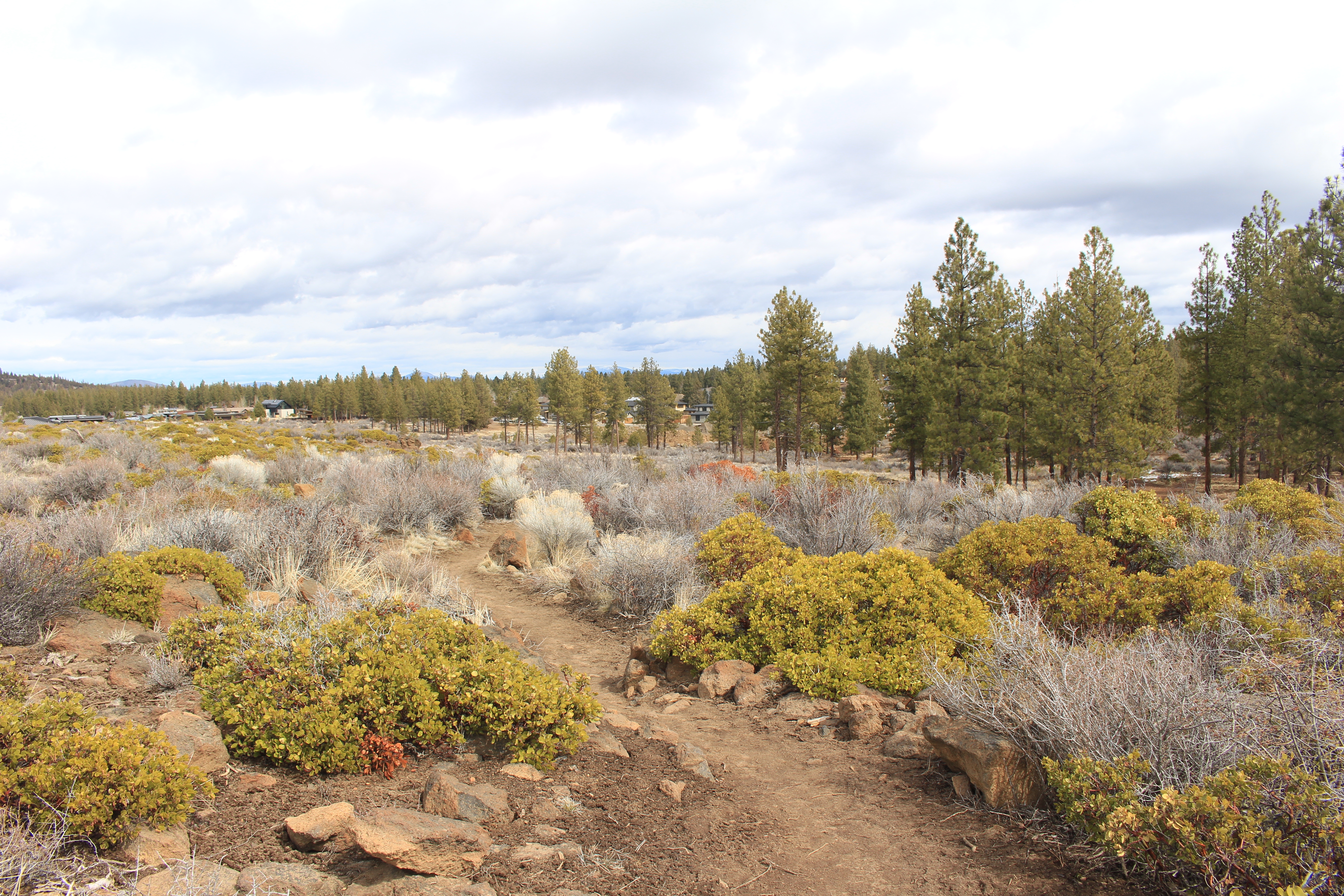 Distance view of the park from the ridge