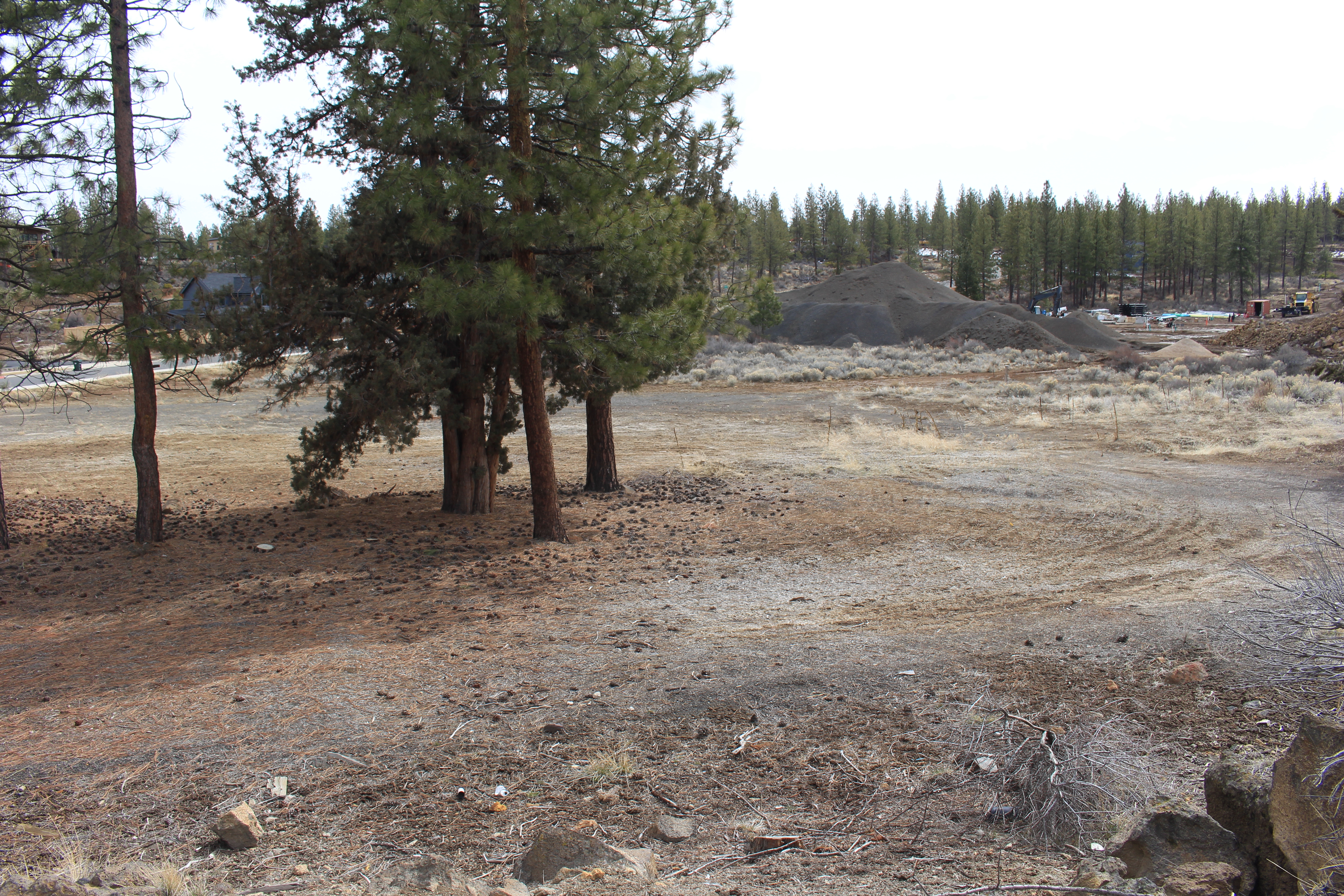 New Shevlin West park site interior view