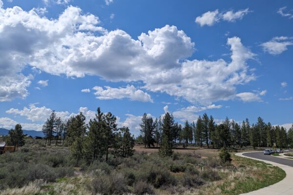 Manzanita Ridge