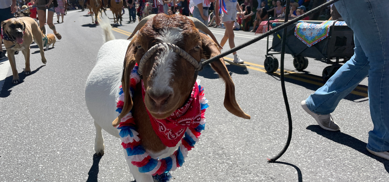 July 4th Pet Parade Bend Park and Recreation District
