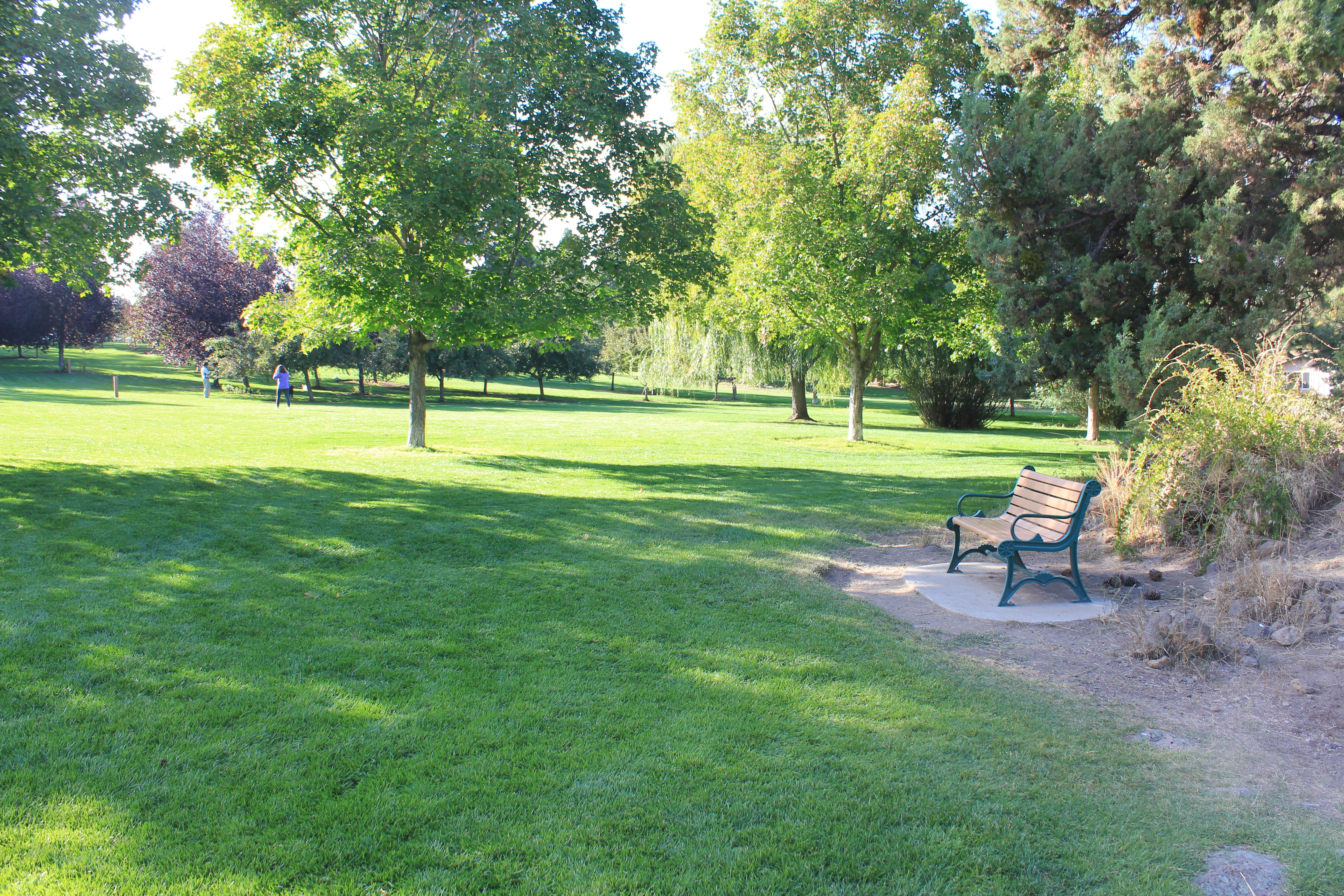 Hollinshead Park trees and lawn
