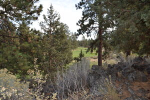 Little Fawn Park pre-construction photo