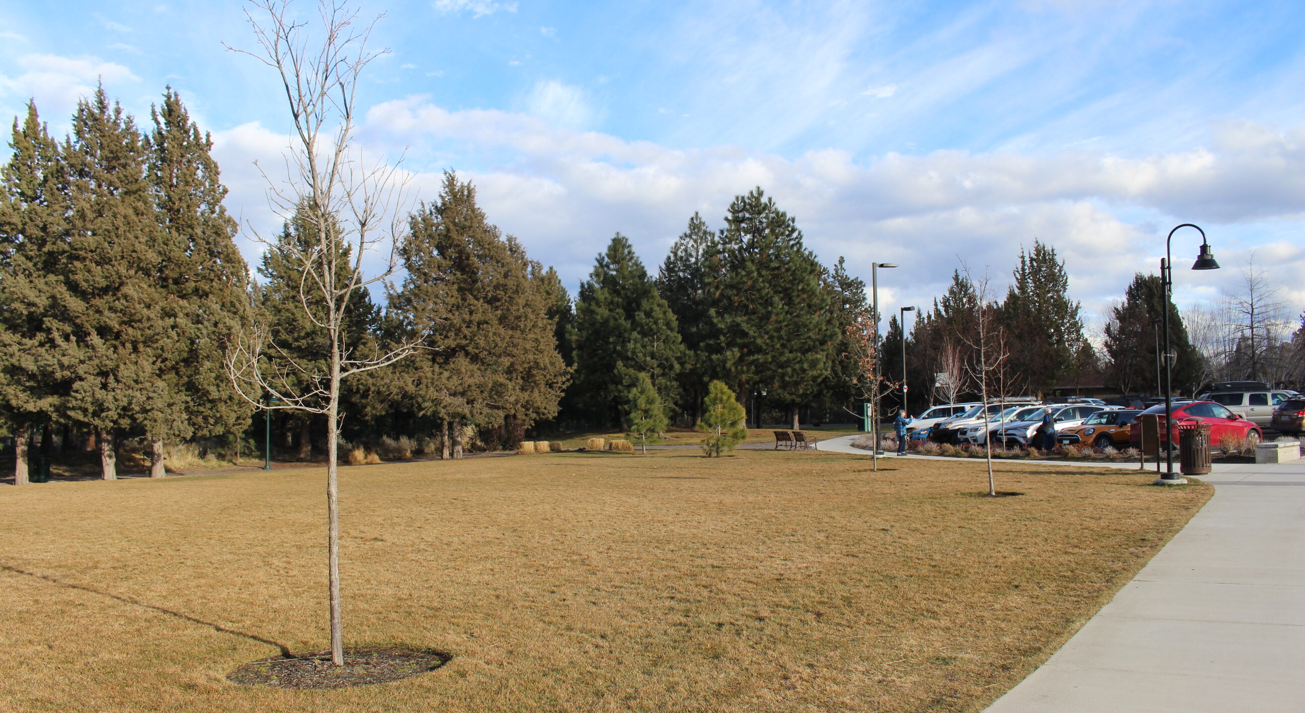 Area next to the basketball court projected for the future site of the Art Station