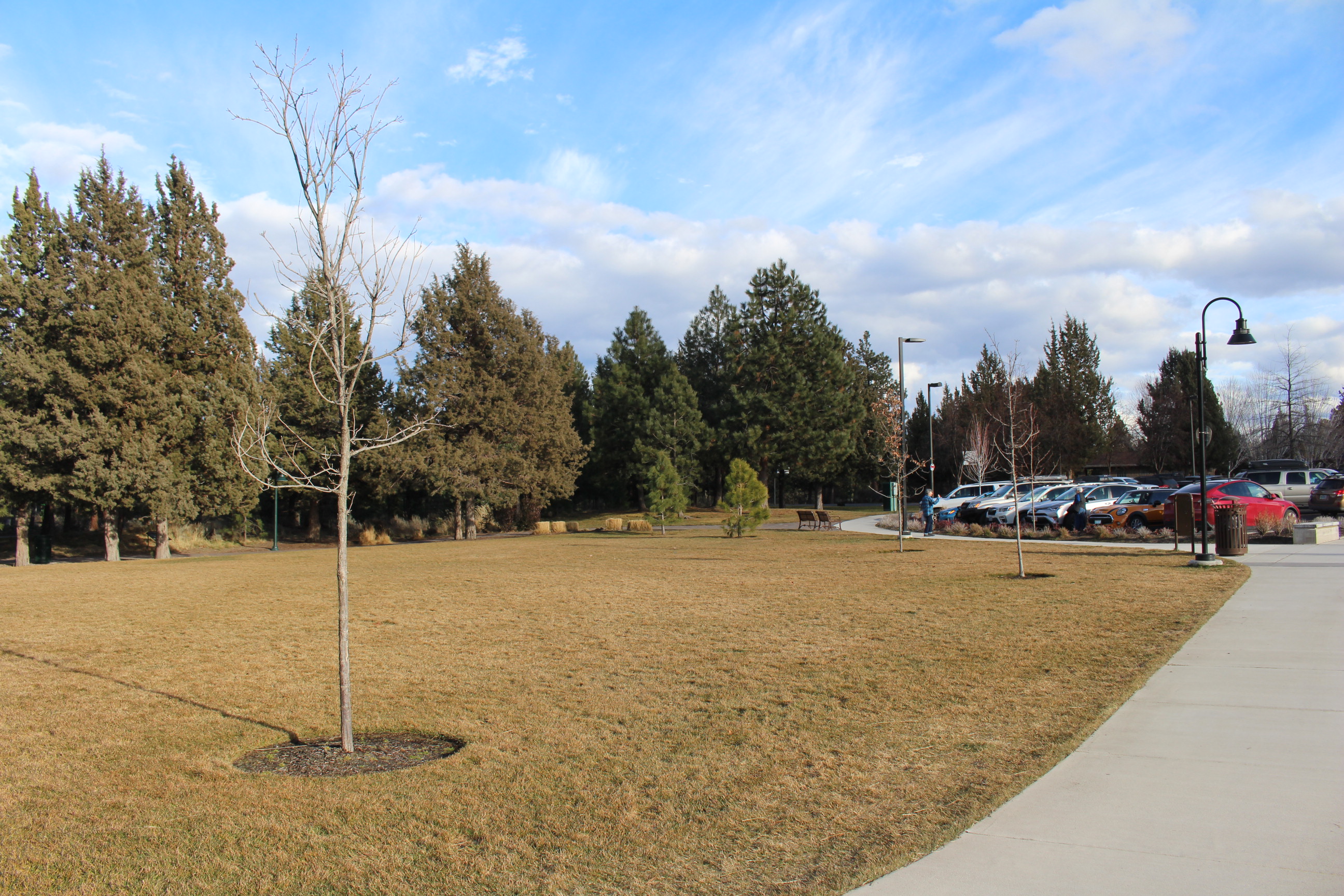 Area next to the basketball court projected for the future site of the Art Station