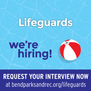 Banner art for advertising a lifeguard position.