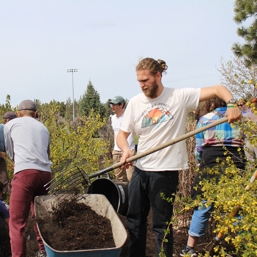 Group of volunteers in the bush with shovels and a wheel barrow helping to manage the landscape at Pine Nursery Park