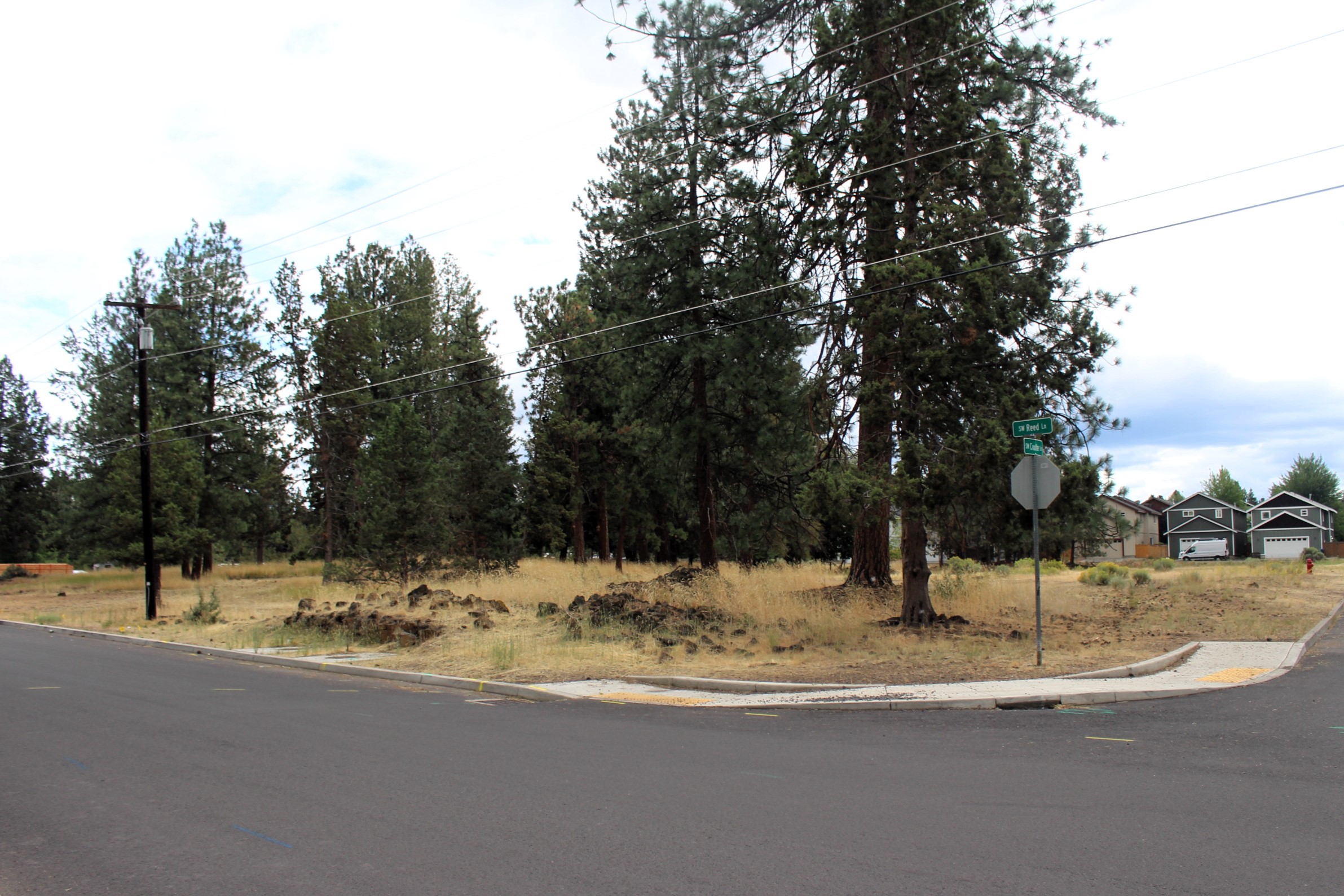 A view of the Reed Lane park site