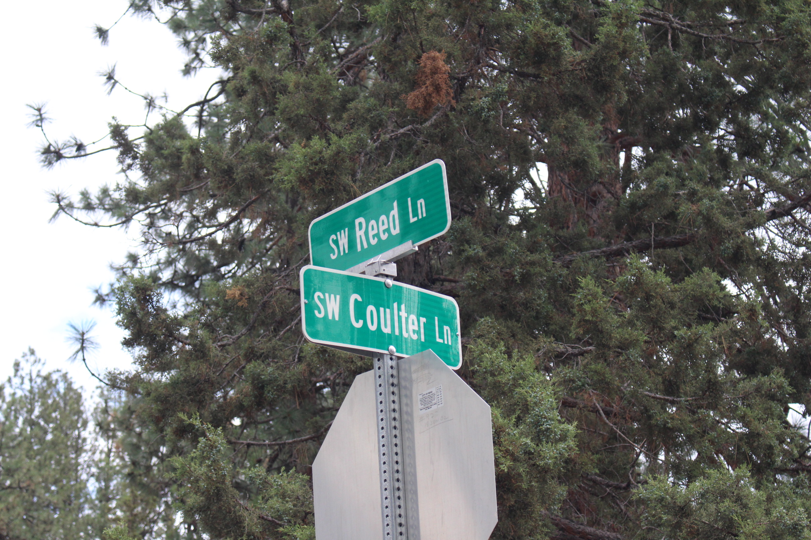 The cross street sign at the Reed Lane park site