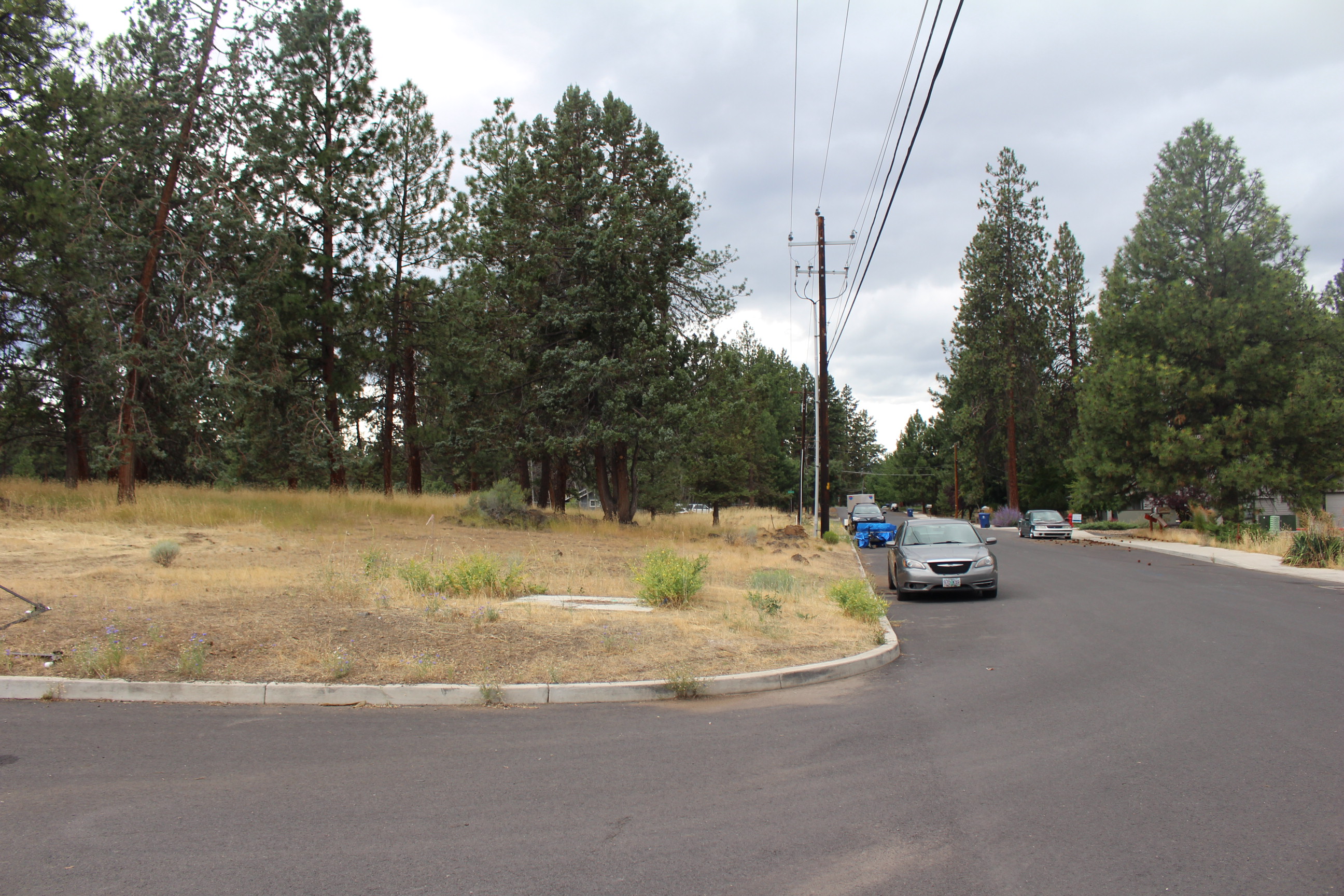 A view of the Reed Lane park site