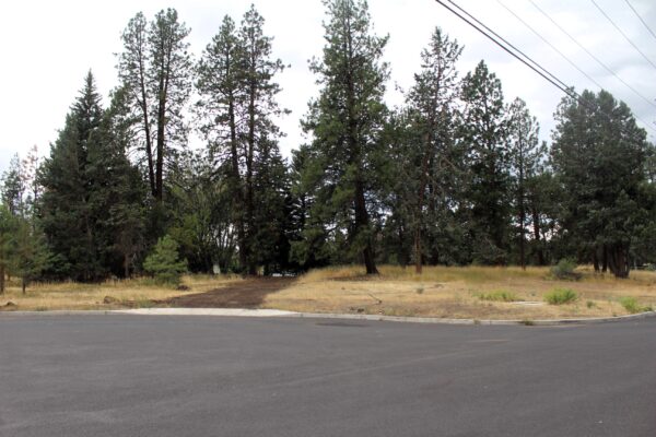 Reed Lane Neighborhood Park Site