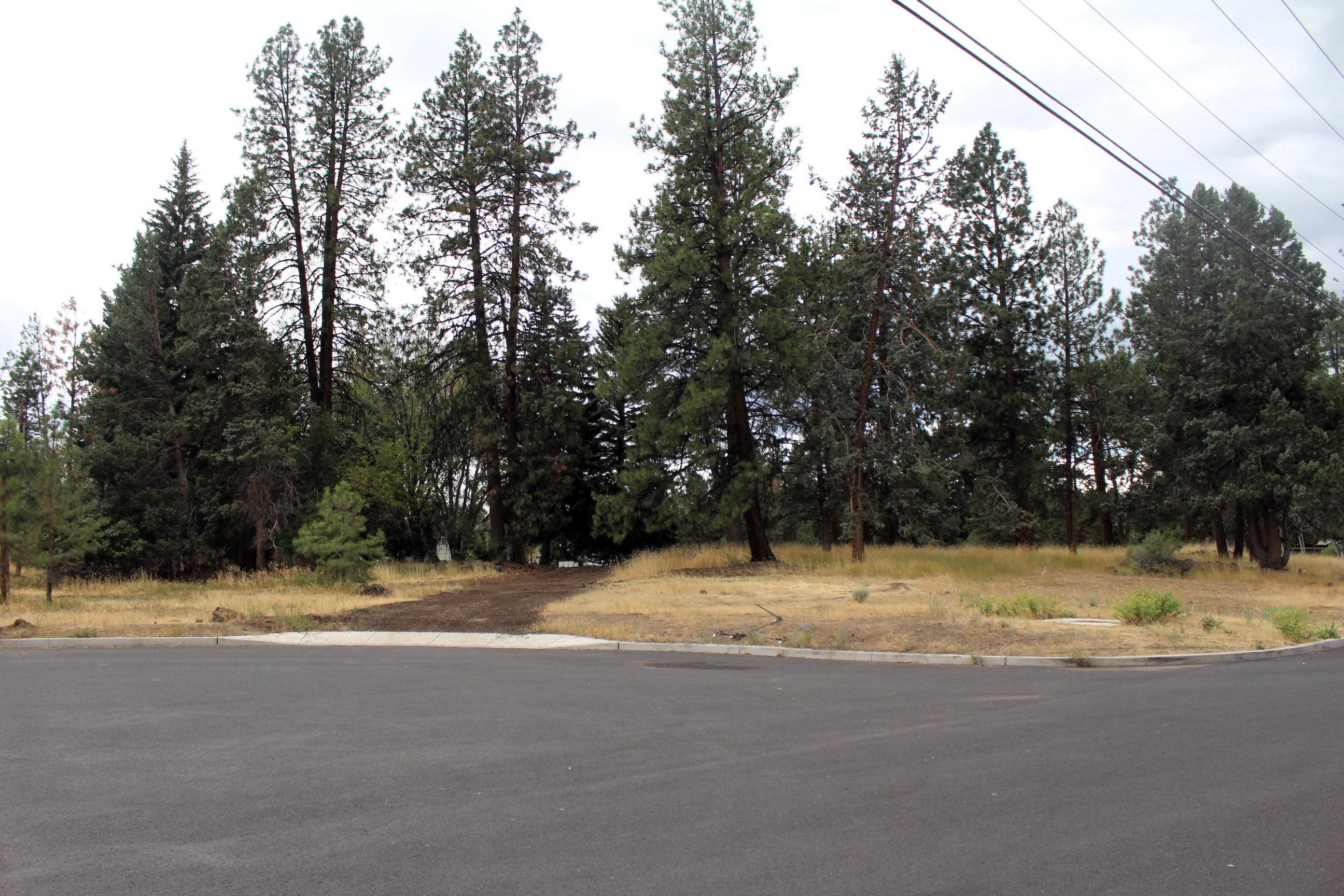 A view of the Reed Lane park site