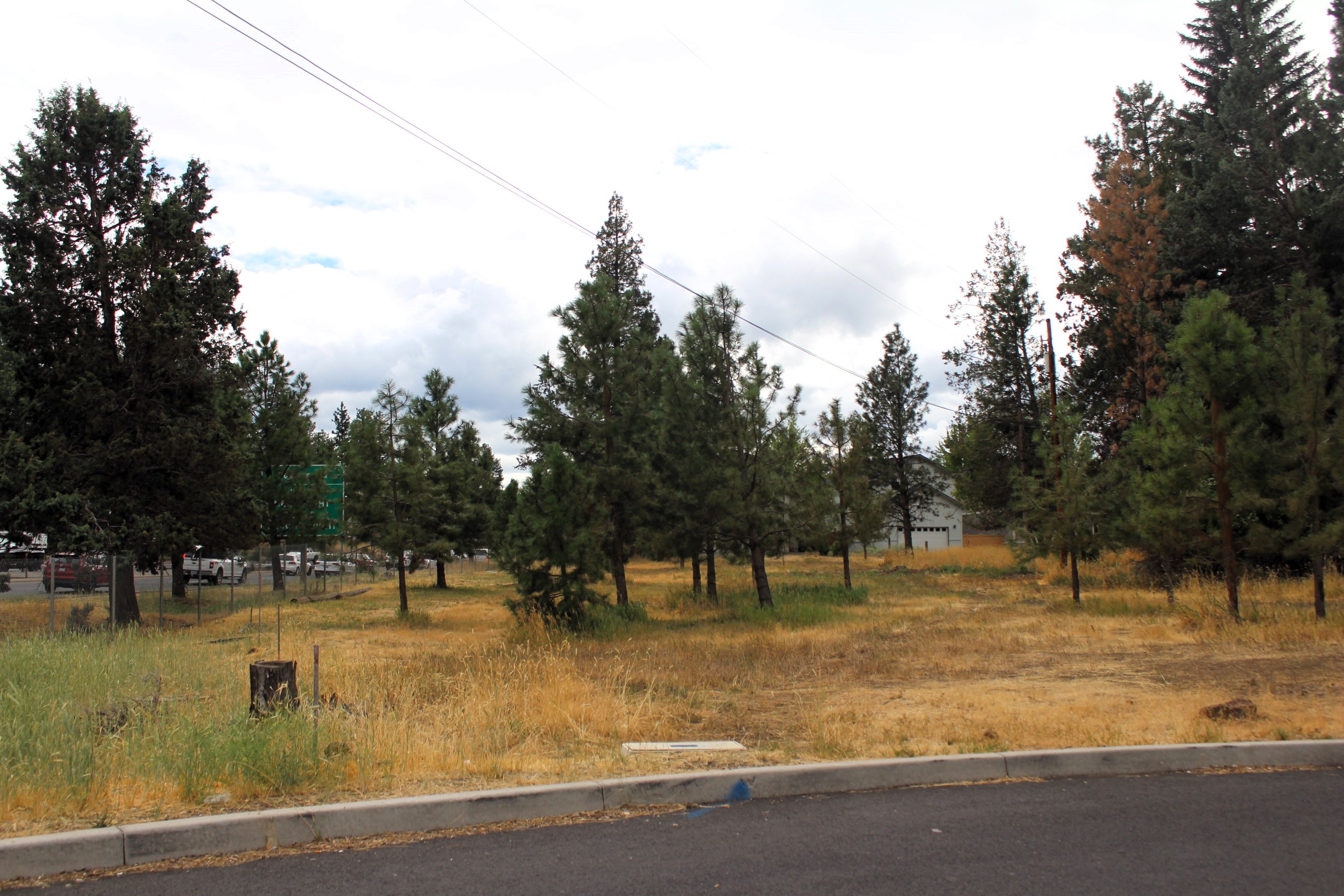 A view of the Reed Lane park site