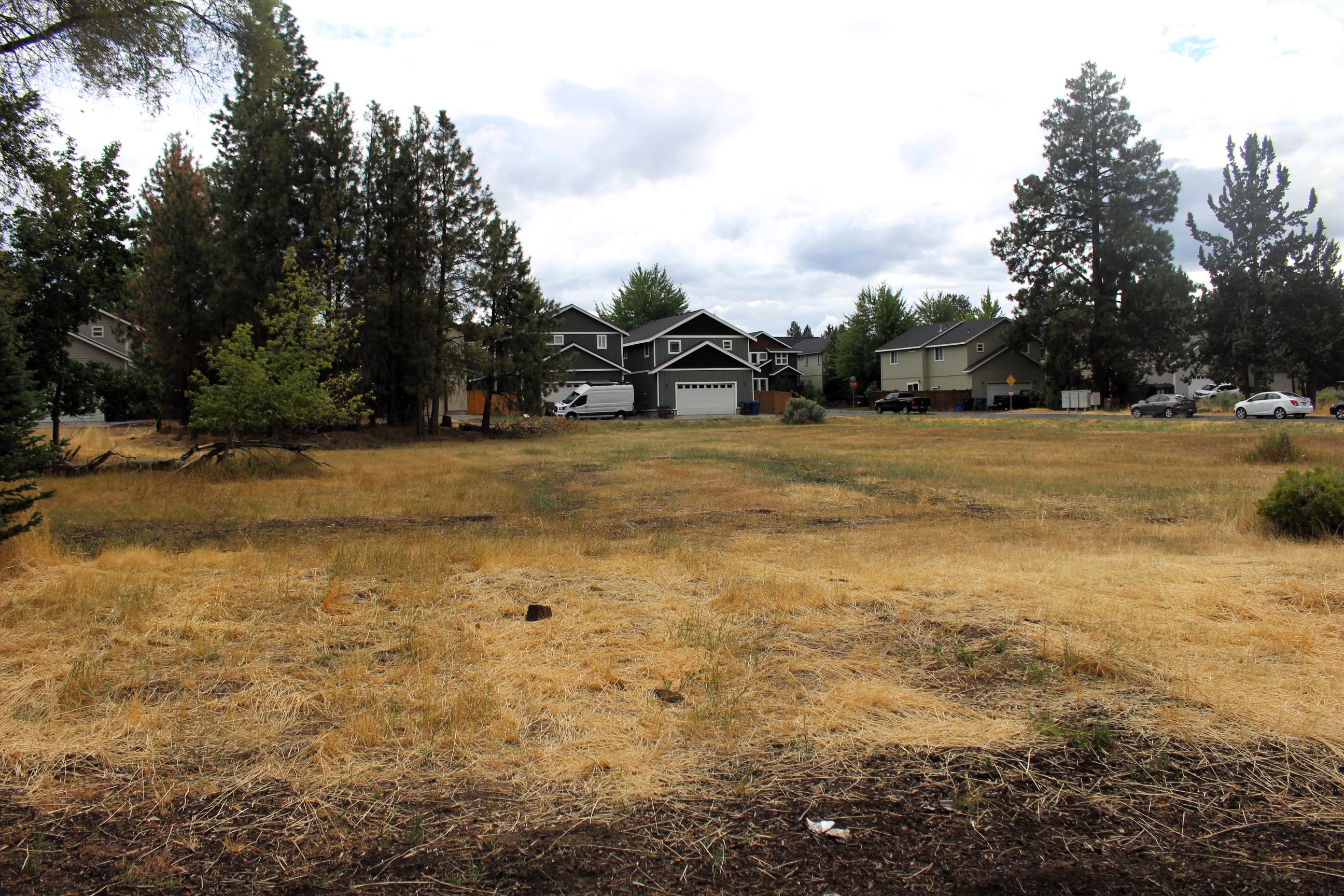 A view of the Reed Lane park site