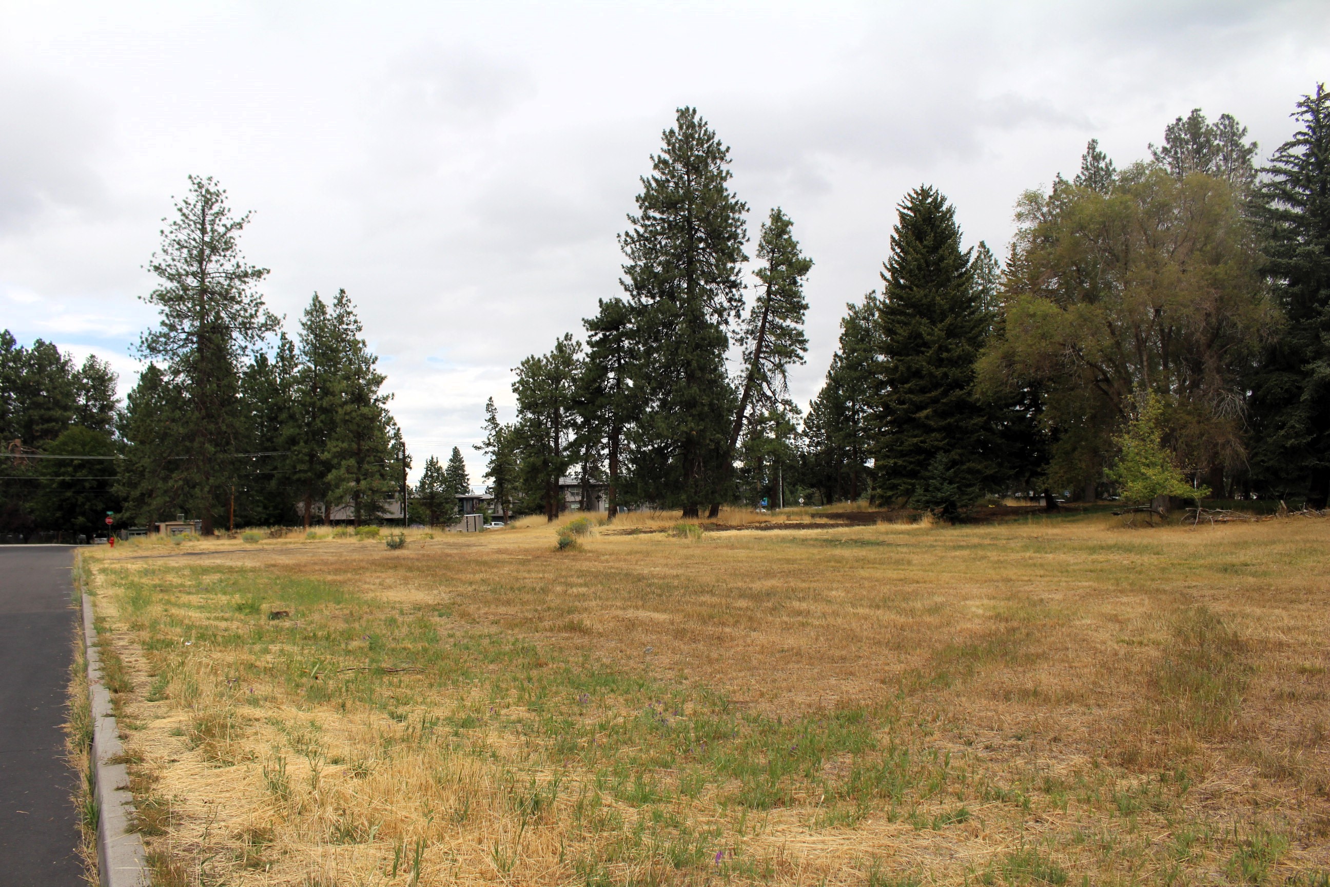 A view of the Reed Lane park site